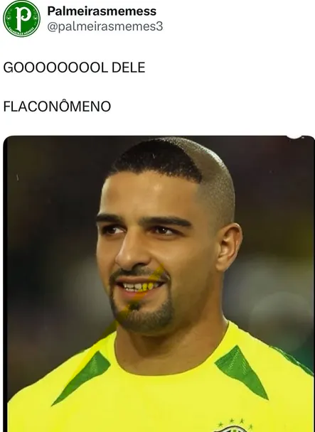 Torcedores do Palmeiras publicaram memes após o triunfo. Foto: Divulgação/Instagram.