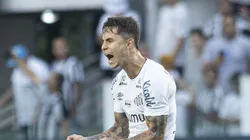 Vinicius Zanocelo jogador do Santos comemora seu gol durante partida contra o Agua Santa no estadio Vila Belmiro pelo campeonato Paulista 2022. Foto: Diogo Reis/AGIF