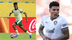 Estêvão e Igor Jesus podem desequilibrar no confronto das oitavas do Mundial. Fotos: Cesar Greco/Palmeiras e Vítor Silva/Botafogo.