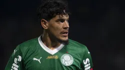 Gustavo Gómez é um dos 'amarelados' do Verdão - Foto: Anderson Romao/AGIF