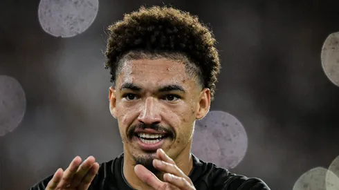 Adryelson atuou no Botafogo na última temporada.