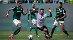 Igor Jesus cercado por jogadores do Palmeiras em partida no Allianz Parque. Foto: Sipa US / Alamy Stock Photo
