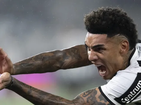 Botafogo vem se destacando em últimos confrontos contra o Palmeiras; confira o restrospecto