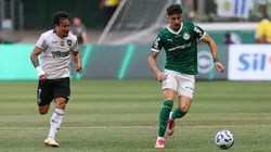 Palmeiras e Botafogo se enfrentam pelo Mundial de Clubes. Foto: Cesar Greco/Palmeiras