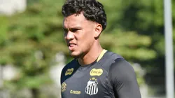 Gabriel Veron teve futuro detalhado por Alexandre Mattos