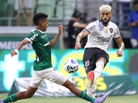 Botafogo não perde para o Palmeiras há mais de 1 ano