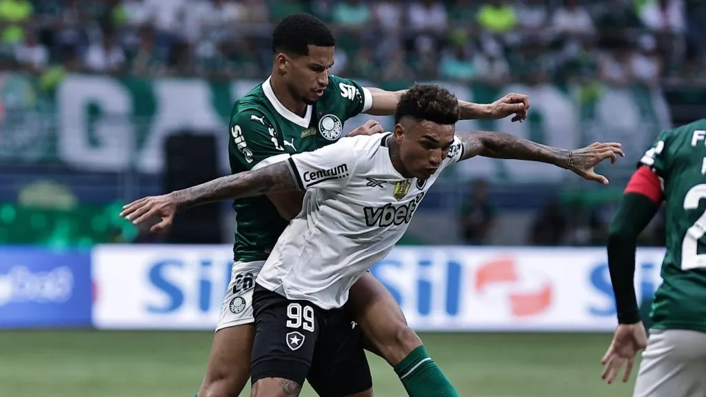 Palmeiras x Botafogo.   Foto: Fabio Giannelli/AGIF
