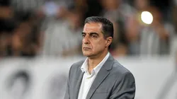 Renato Paiva projetou duelo entre Palmeiras x Botafogo - Foto: Thiago Ribeiro/AGIF