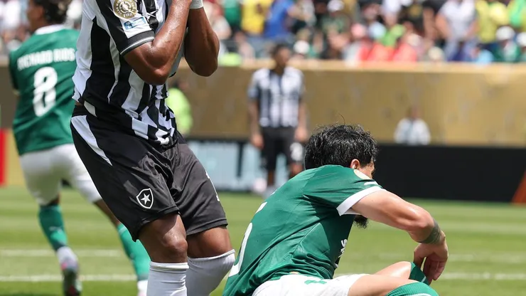 Palmeiras x Botafogo. (Photo by Francois Nel/Getty Images)