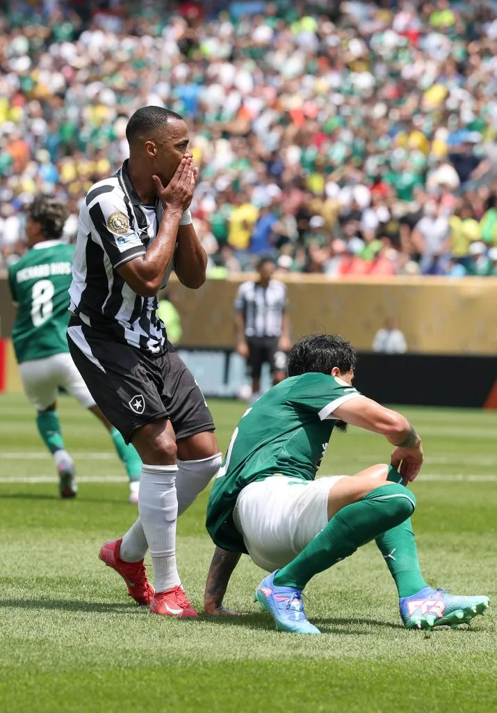 Palmeiras x Botafogo. (Photo by Francois Nel/Getty Images)