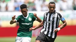 Palmeiras x Botafogo. (Photo by Francois Nel/Getty Images)