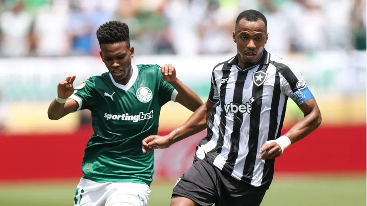 Palmeiras x Botafogo. (Photo by Francois Nel/Getty Images)