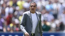 Treinador do Botafogo falou sobre o Palmeiras. Photo by Stu Forster/Getty Images