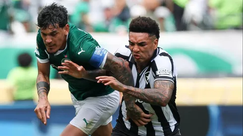 Palmeiras x Botafogo. (Foto: Cesar Greco/Palmeiras/by Canon)