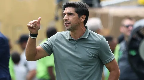 Abel Ferreira foi exaltado pelo ex-jogador - Foto: Cesar Greco/SEP.