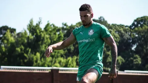 Paulinho durante atividade no Palmeiras- Foto: Reprodução/Werner Fister