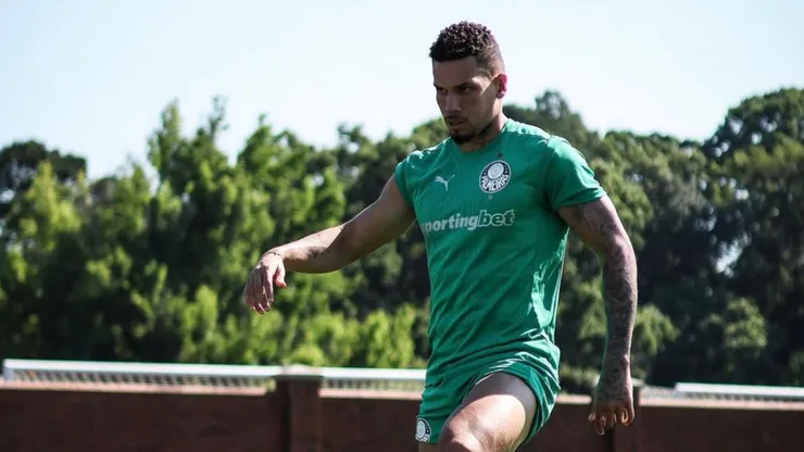 Paulinho durante atividade no Palmeiras- Foto: Reprodução/Werner Fister