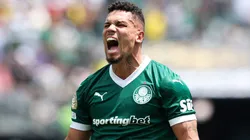 Paulinho comemora seu gol contra o Botafogo. Foto: Cesar Greco/Palmeiras