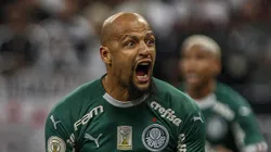 Felipe Melo foi multicampeão pelo Palestra.