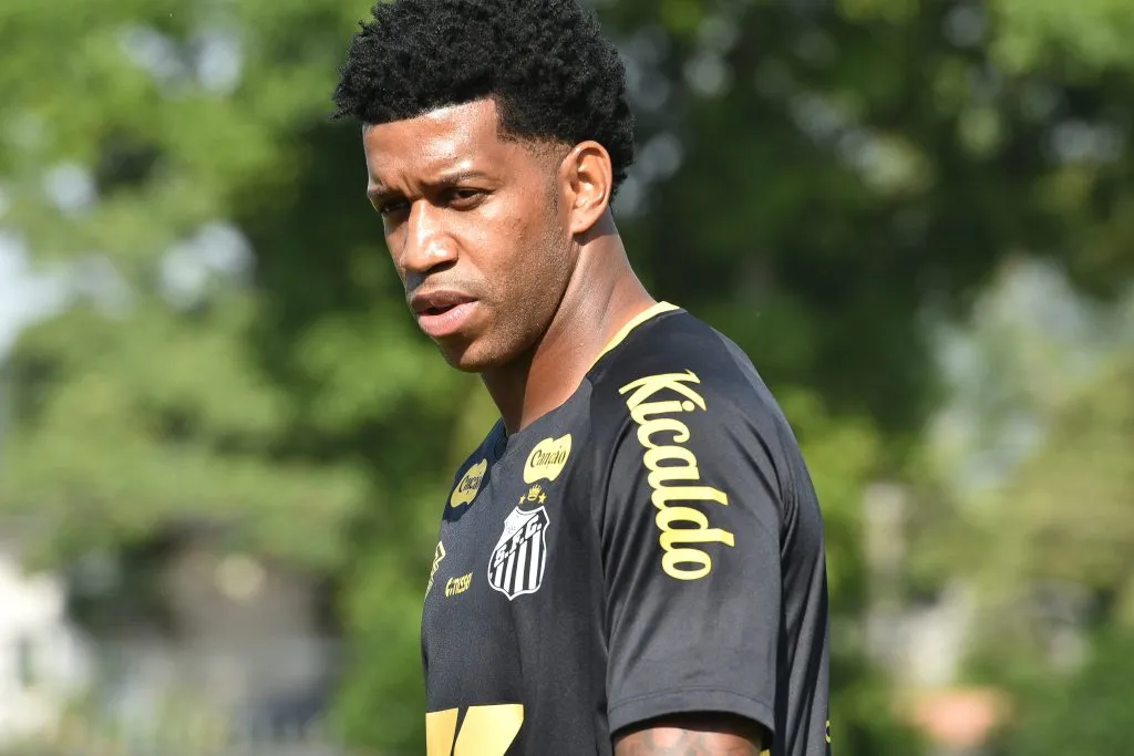 Zagueiro de 38 anos não atua pelo Santos desde o início de maio, mas decidiu ficar até dezembro – Foto: JOTA ERRE/AGIF
