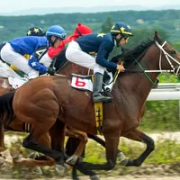 Como apostar em corrida de cavalos: mercados, dicas e sites