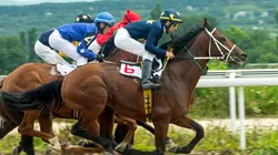 As corridas de cavalos contam com mercados especiais em grandes casas de apostas