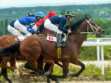Como apostar em corrida de cavalos: mercados, dicas e sites