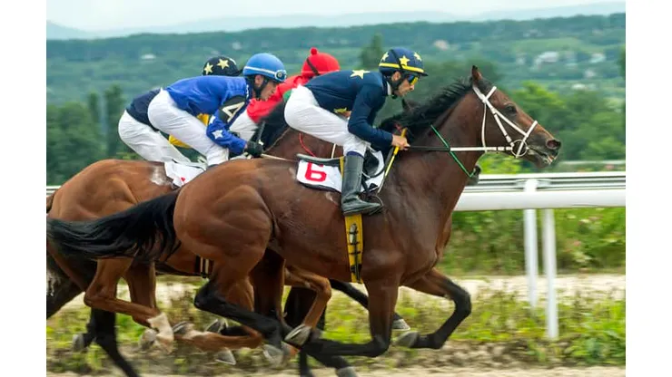 As corridas de cavalos contam com mercados especiais em grandes casas de apostas