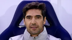 Abel durante partida pelo Verdão.