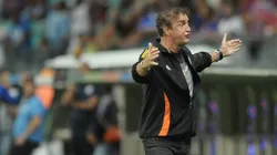 Cuca, técnico do Atlético-MG. Foto: Jhony Pinho/AGIF.