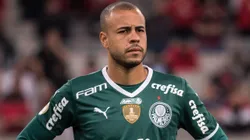 Mayke era pretendido também pelo Grêmio, mas trocará o Palmeiras pelo Santos até 2027. Foto: Robson Mafra/AGIF