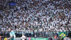 Torcida do Palmeiras no Allianz Parque - Foto: Ettore Chiereguini/AGIF