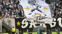 Torcida do Santos durante partida contra Botafogo no estadio Vila Belmiro pelo campeonato Brasileiro A 2025. Foto: Mauricio De Souza/AGIF