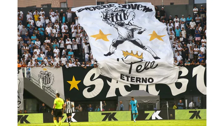 Torcida do Santos durante partida contra Botafogo no estadio Vila Belmiro pelo campeonato Brasileiro A 2025. Foto: Mauricio De Souza/AGIF
