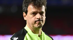 Fernando Diniz sabe que o Vasco precisa melhorar - Foto: Jota Erre/AGIF.