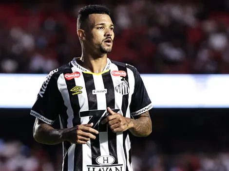 Zé Ivaldo é detonado pelos torcedores do Santos após derrota