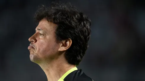 Fernando Diniz, treinador do Vasco