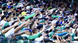 Torcida do Palmeiras na Arena Barueri - Foto: Marcello Zambrana/AGIF