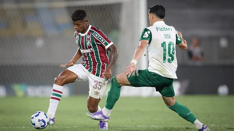 Fluminense e Palmeiras no Brasileirão. FOTO: MARCELO GONÇALVES / FLUMINENSE F.C.