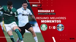 Palmeiras vence o Grêmio por 1 a 0 e embola briga pela liderança do Brasileirão Betano. Foto: AGIF.