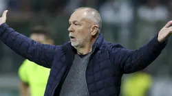 Mano Menezes, técnico do Grêmio em jogo pelo campeonato brasileiro