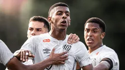 Alejandro Villarreal não vinha nos planos de Cleber Xavier no Santos - Foto: Divulgação/Santos FC