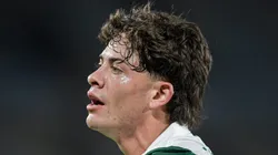 Giay em campo pelo Verdão em jogo do Brasileirão.