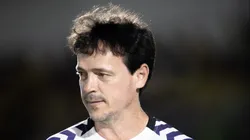 Fernando Diniz não vive grande momento na carreira