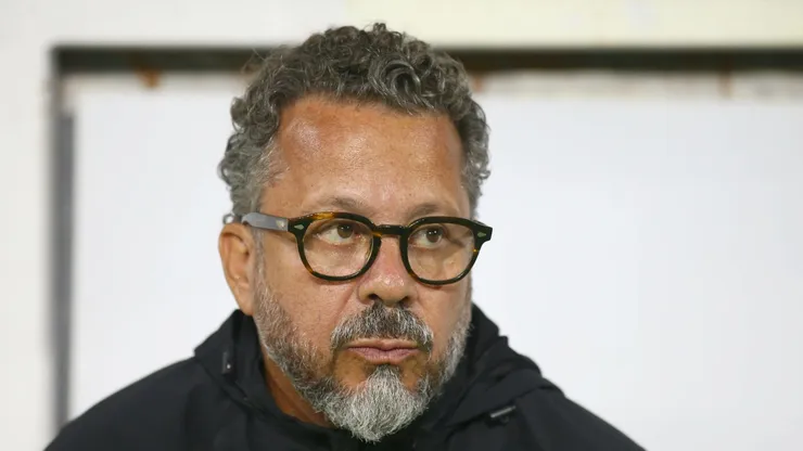 SP - SAO PAULO - 12/05/2025 - BRASILEIRO A 2025, SANTOS X CEARA - Cleber Xavier tecnico do Santos durante partida contra o Ceara no estadio Arena Allianz Parque pelo campeonato Brasileiro A 2025.