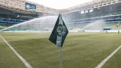 Gramado do Allianz Parque vem sendo bastante criticado (Photo by Ricardo Moreira)