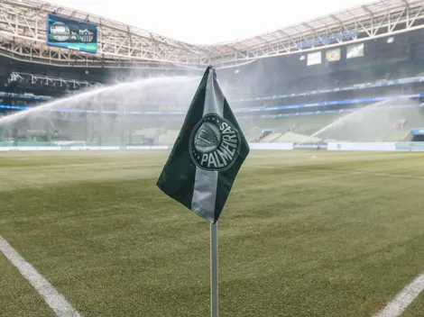 Troca do gramado do Allianz Parque pode custar R$ 10 milhões