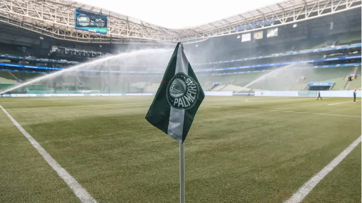 Gramado do Allianz Parque vem sendo bastante criticado (Photo by Ricardo Moreira)