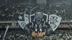 Torcida do Botafogo fazendo a festa no Nilton Santos. Foto: Thiago Ribeiro/AGIF.