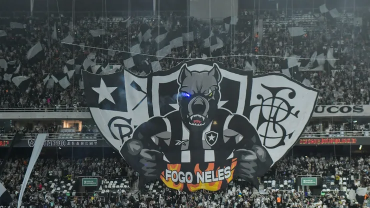 Torcida do Botafogo fazendo a festa no Nilton Santos. Foto: Thiago Ribeiro/AGIF.